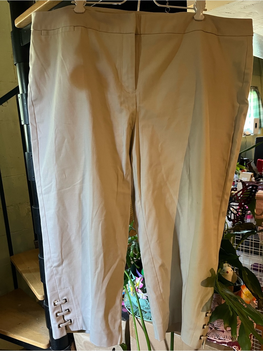 Rafaela tan Capri  Pants - Classic Straight Fit